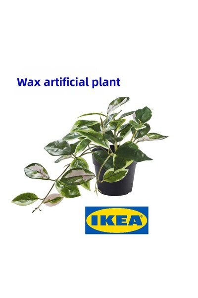IKEA نبات صناعي من شمع العسل FEJKA، 9 سم، للداخل والخارج