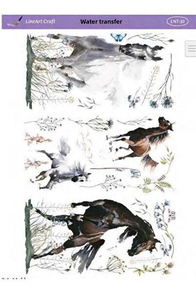 LİNEART Water Transfer Lnt30