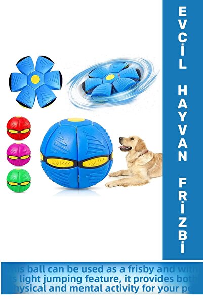 Wintoup كرة فريسبي ممتعة تفاعلية للنمو الذهني الفيزيائي المضيئة للقطط والكلاب...