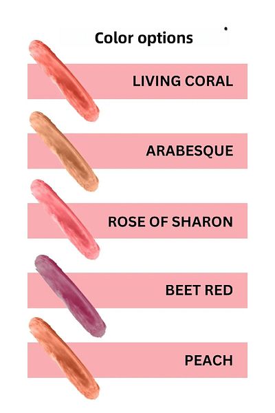 REVA Multi-Purpose Stick Blush, Shadow, Lip Coloring & Lip Cheek Eye Tint-vegan & Clean Contentrv114