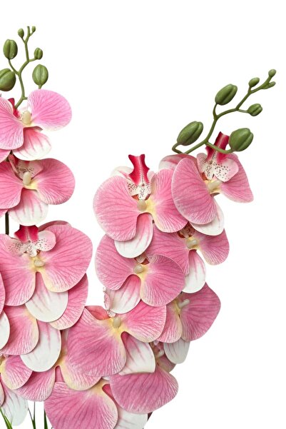 YAPAY ÇİÇEKÇİNİZ Υψηλής ποιότητας τεχνητή ορχιδέα με 2 κλαδιά με υγρή υφή σε λευκή γλάστρα από σκυρόδεμα