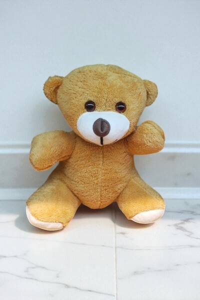 hediye Cute Plush Teddy Bears 25cm (Premium, in Gift Box, Note Writable)