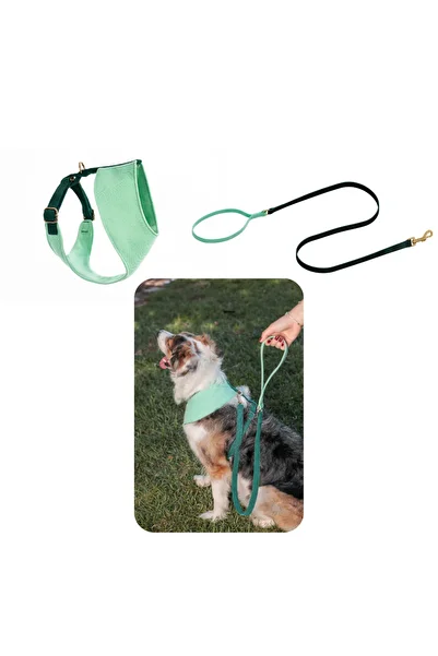 GoPawGo Shelby Soft Dog Chest Collar Set