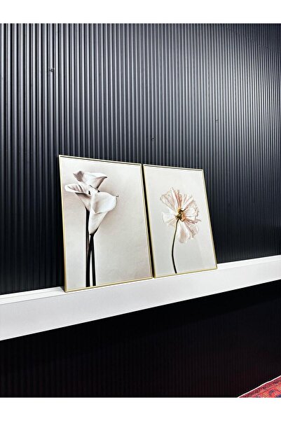 Tablomtr Beyaz Zerafet - Dijital Baskılı Gold Metal Çerçeveli Gerçek Camlı 2'li Dekoratif Tablo