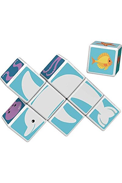 erorex Magicube Printed Sea Animals + Cards Stem & Educational Magnet Toys Made Switzerland 100% Recycled