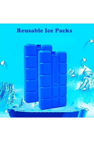 erorex Reusable Ice Packs 2 Pcs Leakproof Freezer Safe Cooling Packs Great Campers Picnickers Perfect