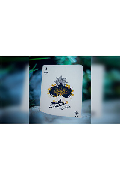 Derya Bilardo Onda V2 (Coral) by Jocu Game Cards