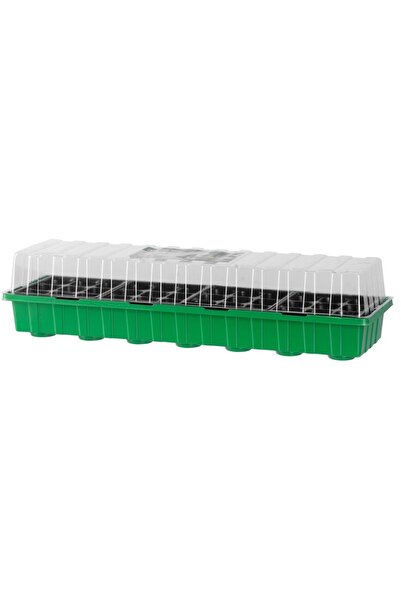 SGTT Tavă pentru răsaduri cu capac transparent din plastic, 36 de celule, 54x15x13 cm