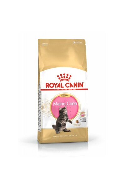 Royal Canin Maine Coon Kitten dry food for junior cats, 10 kg