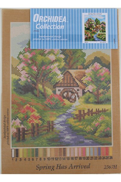 Orchidea Goblen 2567H 24x30