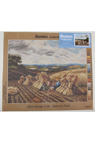 Orchidea Печатна гоблена за жътва 2809 40*50 см