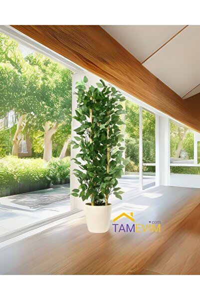 TamEvim Benjamin Ağacı 125 Cm