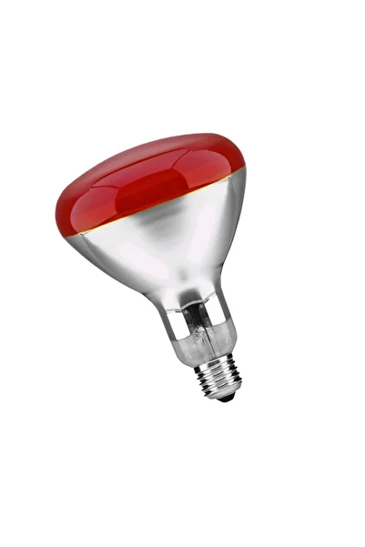 SGTT Infrared bulb for raising chickens, E27 fitting, 250 W