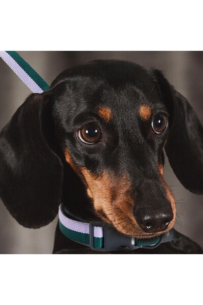 HAY Pet leash green - lavender,