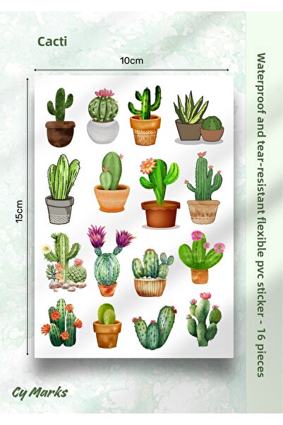 alışveriş kurdu Set de autocolante cu tematică cactus, 16 bucăți - planificat...