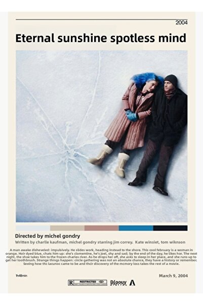 Universal Η Αιώνια Λαμπρότητα του Αθέμιτου Νου Μιχέλ Γκοντρί, Ξύλινη Διακοσμη...