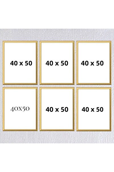 Araste إطار ستة 40x50 (بدون ملصق) - Bos1015