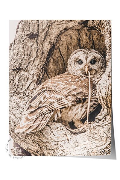 Postifull Poster rustic fără rame, pictură nordică maro, NR:319 Fotografie cu...