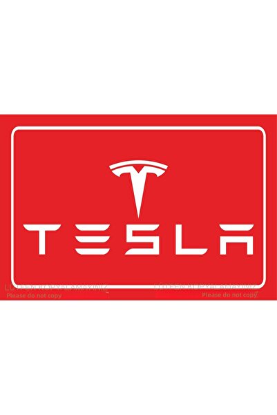 Hayat Poster semn de parcare logo tesla poster retro din lemn