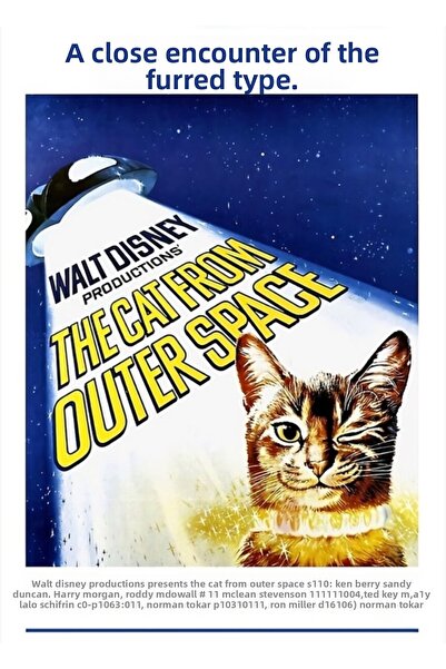 Universal Διακοσμητική Ξύλινη Αφίσα Ζωγραφικής με Γάτα που Έρχεται από το Διά...