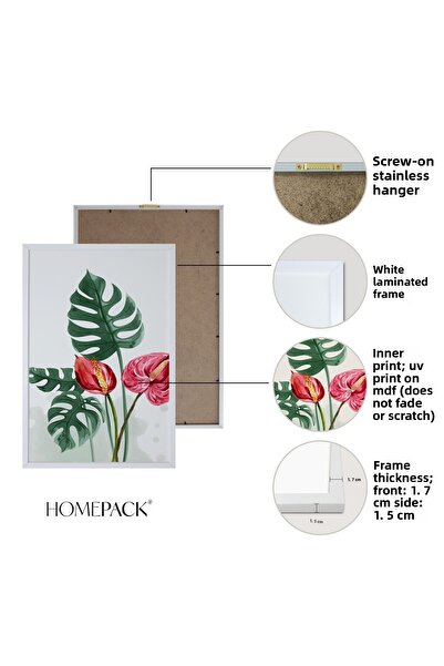 HOMEPACK Set cadru laminat alb 3 piese Pictură Hpn061