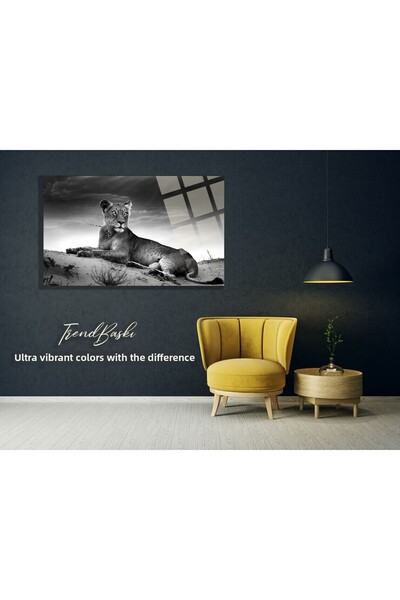 TAULART Tablou din sticlă de înaltă definiție, temperată, de lux, de 4 mm, Li...