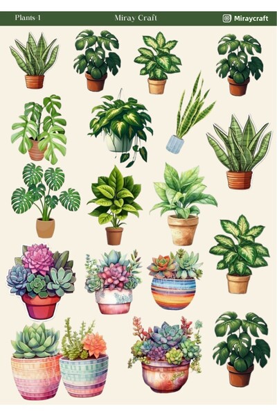 MirayDesign 1 autocolant cu tematică de plante – 12x17 cm pentru album de îns...