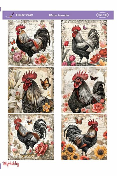 LİNEART رقم نقل سوتي: LNT338-25x35 سم