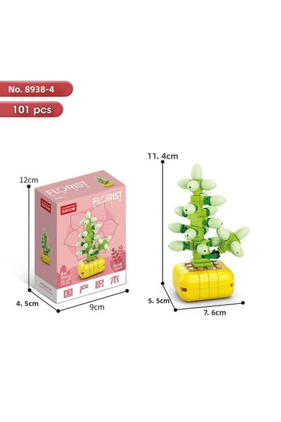 FLORİST |   Mini Botany |   Jelibon Succulent – Sedum Pachyphyllum Plant – DIY 3D Puzzle Mini Potted Block Set