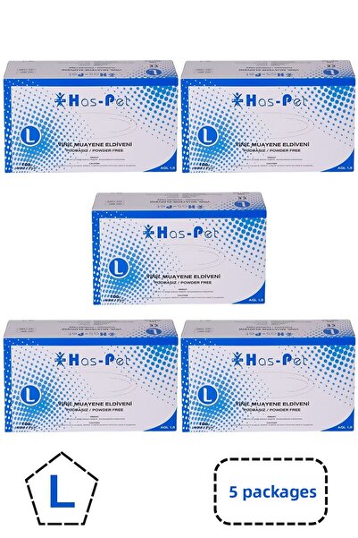 Has-Pet Haspet Vinyl Powder-Free Gloves Large 5 Boxes