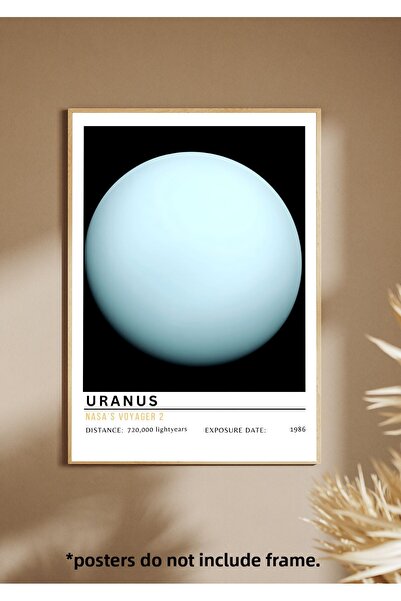 One Little Happiness Αφίσα Αφίσα Αισθητική Αφίσα Τοίχου, Αφίσα χωρίς πλαίσιο