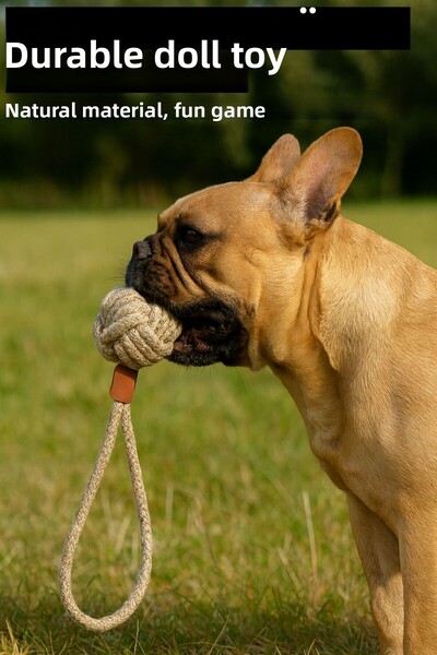 CasaPetra Dog Play Ball Drawstring Dog Toy with Sturdy and Unbreakable Structure