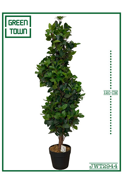 GREEN TOWN شجرة سرو ايطالى حلزونى 120 سم