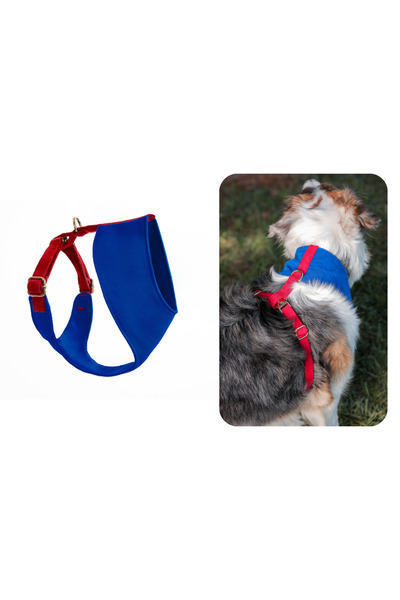 GoPawGo Sirius Soft Köpek Göğüs Tasması