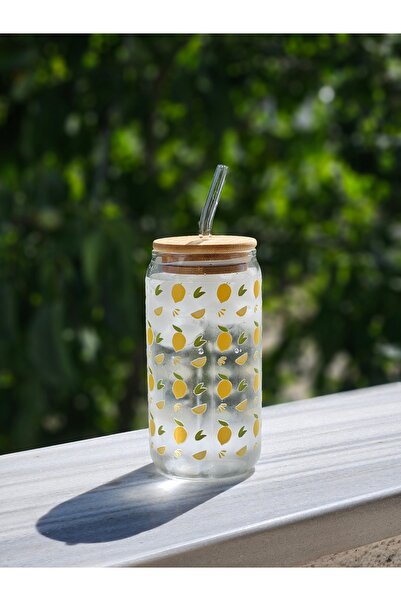 Store Pinterest Bardak Pipetli Cam Bardak Limon Desenli Isıya Dayanıklı (500 ML)
