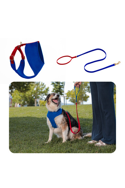 GoPawGo Sirius Soft Köpek Göğüs Tasma Seti