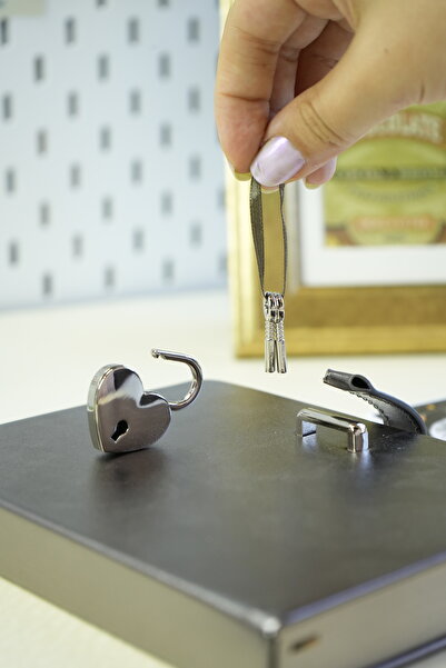 Victoria's Journals Diary with Lock, Notebook-Metallic- Boxed 13X18 Cm. Hush