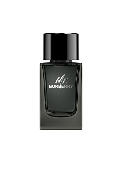 BURBERRY Herr. Eau De Parfum Dampf 100 ml