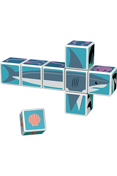 erorex Magicube Printed Sea Animals + Cards Stem & Educational Magnet Toys Made Switzerland 100% Recycled
