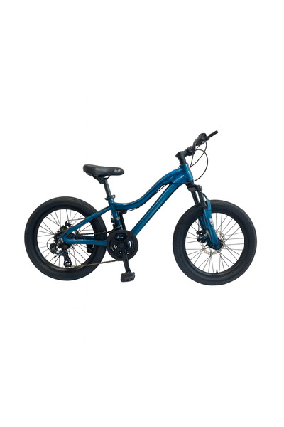 rexa 20 inches children's mountain bike