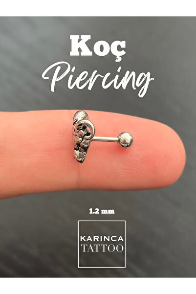 Karınca Piercing Koç Rock Gothic Kulak Piercing Tragus Flat Conch Helix Kıkırdak Küpe