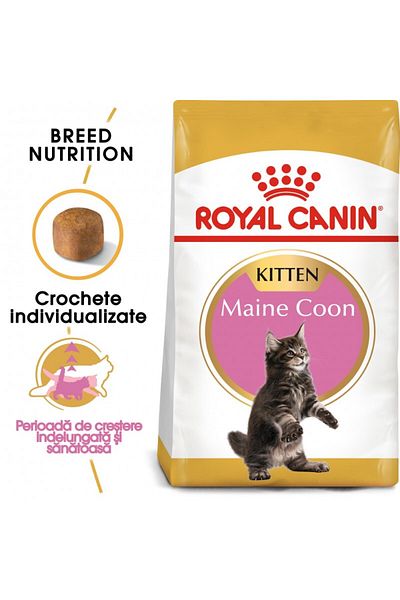 Royal Canin Maine Coon Kitten dry food for junior cats, 10 kg