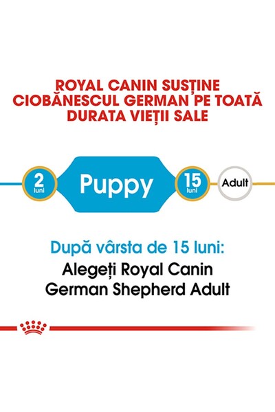 Royal Canin Royal Canin German Shepherd Puppy dry food for junior German Shepherd dogs, 3 kg