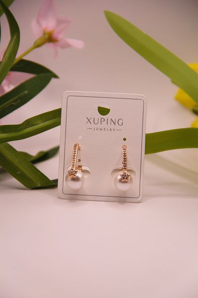 assa accessories Xupi̇ng 316L Steel Gold Plated Earrings Stainless – Tarnish and Water Resistant