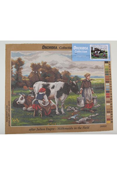 Orchidea Гоблен 2999M 40x50