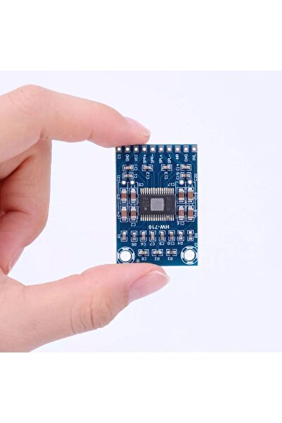 AEK-Tech XH-M562 TPA3116D2 Mini Dijital Stereo Audio Amfi Kartı Class D Dual 50W