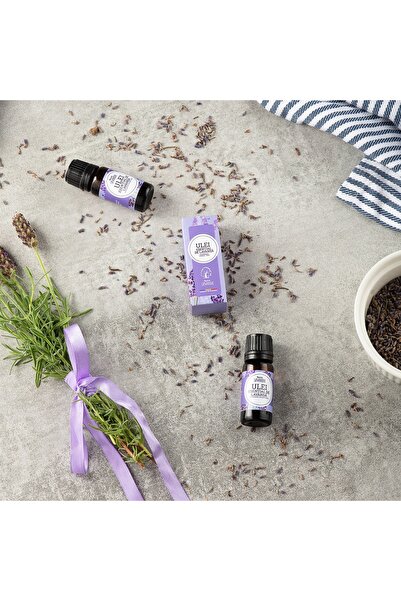 Nucul din lavandă Ulei esential de lavanda, Nucul din lavanda, 10 ml