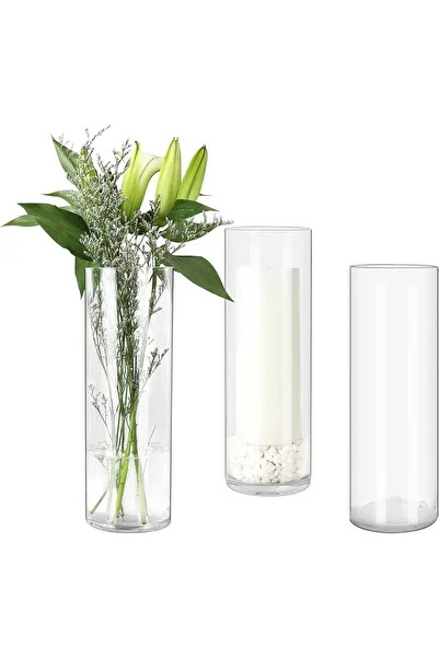Home Zone 3 Pack Clear Glass Cylinder Vases, Table Flowers Vase, for Wedding Decorations (10x30cm)