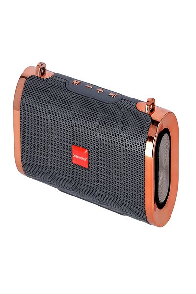 Olsenmark Oslenmark Portable Wireless Speaker with USB, TF, AUX, Bluetooth and MP3