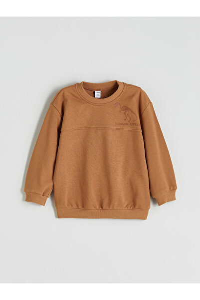 LC Waikiki Sparkling Choices from Shining Store | Crew Neck Dinosaur Printed Boys' Sweatshirt And…